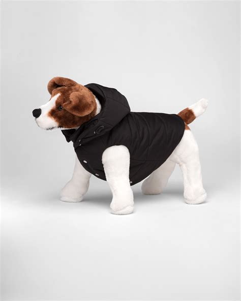 prada jacket dog|Prada Livermore.